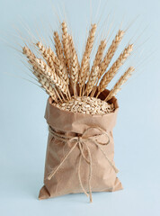 Fototapeta premium A brown sack tied with a bow, filled with grains such as wheat and barley, set against a light blue background.