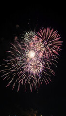Obraz premium Bright colorful fireworks explosion against dark sky background.