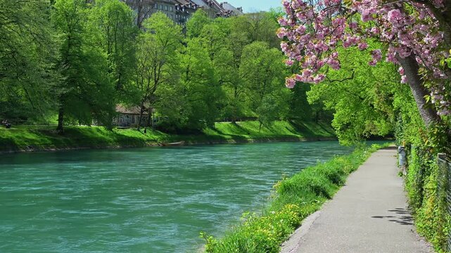 Peaceful riverside walkway bordered by fresh green trees and blossoms on a sunny spring day in Morges, Switzerland.