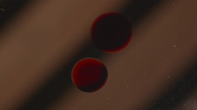 Blood Drops Appearing and Spreading on a Brown Glass Surface for Scientific Analysis and Medical Research Creating a Deep Red Viscous Liquid Texture