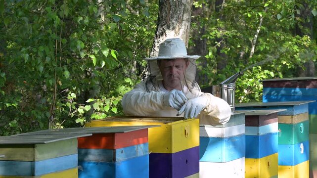 Beekeeper in a protective suit takes a honey frame out of a beehive at the apiary. A beekeeper inspects a honey frame while working near colorful hives in the forest, the process of honey collection