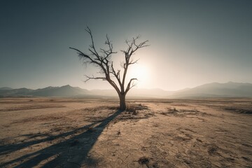 Fototapeta premium Harsh light over an arid plain: a solitary dead tree amid cracked soil and an empty horizon