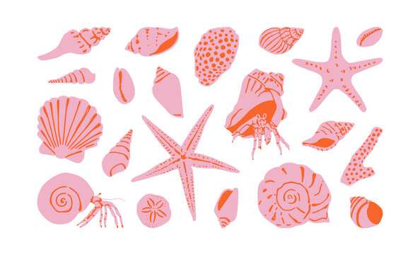 Set of diverse sea shell, aquatic life animals in flat cartoon style. Isolated marine seashell, star fish and more exotic wildlife. Summer vacation collection, tropical beach shells.