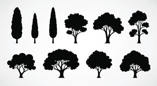 Black Tree Silhouettes Set, Vector Isolated Deciduous and Coniferous Trees Icons for Landscaping, Architectural Visualization, Garden Design, Nature Elements, Minimalist Environment Flat Icons.