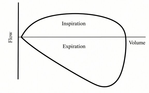 A medical diagram of a flow-volume loop showing inspiration and expiration phases. Essential for illustrating pulmonary function, lung capacity, and respiratory mechanics in clinical diagnostics.