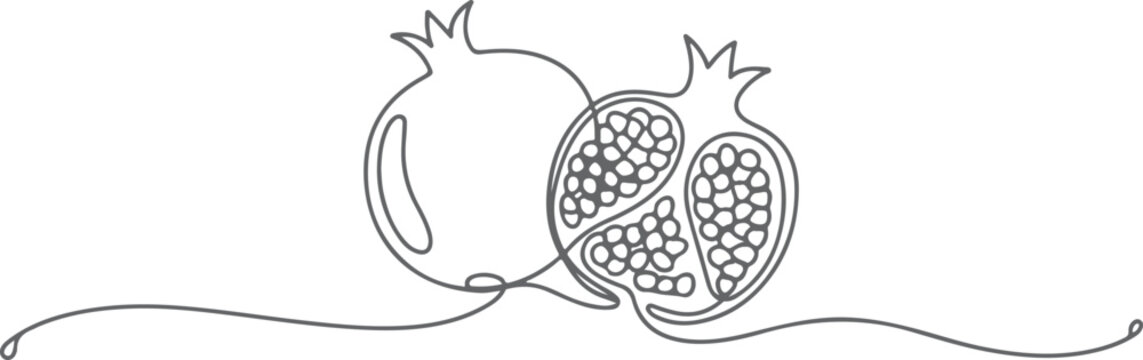 Black and white line of a sperm cell with detailed head and tail sperm cell sperm head sperm tail flagellum