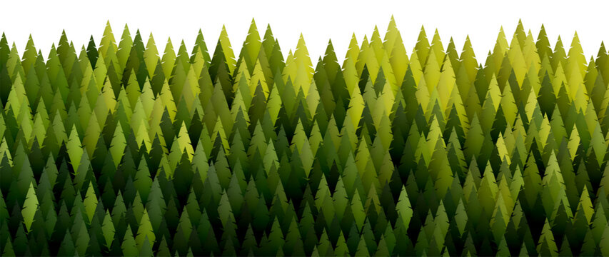 Stylized forest landscape with geometric trees. Green forest background made of abstract conifer trees forming dense woodland pattern for conservation theme, outdoor exploration and digital eco poster