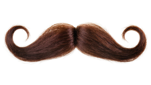 Curled brown hair mustache with curled ends, isolated on transparent background