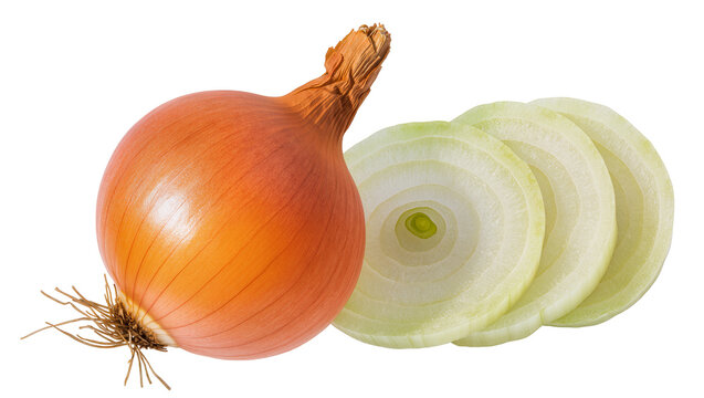 Whole brown onion with three sliced rings, isolated on transparent background