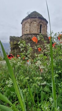 Ancient georgian doliskana monastery ruins with wildflowers