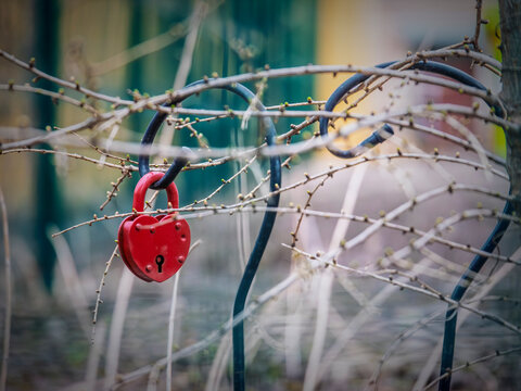 A vibrant red heart-shaped padlock hangs securely on rusty barbed wire, presenting a striking image suitable for themes of protection or restriction.