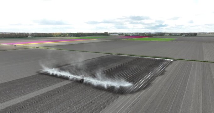 aerial footage of a large sprinkler system at work with blooming tulip fields in the background