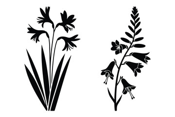 Daffodil and foxglove flower silhouettes with daffodil foxglove botanical © Sadek