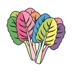 Naklejka premium Colorful leafy greens vegetable bunch.