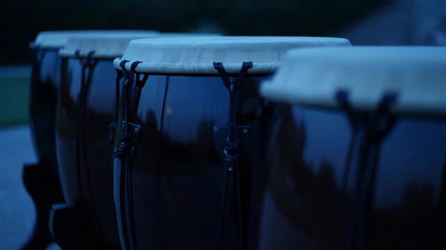 Close-up of dark blue congas with white heads