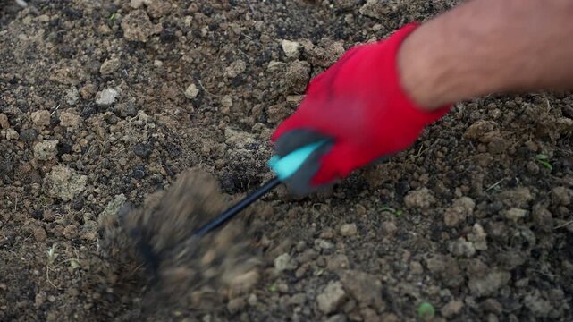 Ground tilling with a small hand hoe. Ground tilling. Home garden tilling