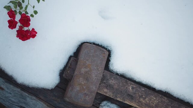 Red rose stem on snow near hammer head, rusted metal and white blanket create stark contrast, workshop edge meets garden memory, somber winter mood with delicate petals and cold light