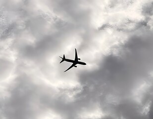 Fototapeta premium airplane in the sky