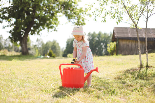 A little cute baby girl 3-4 years old in a dress watering the plants from a watering can in the garden. Kids having fun gardening on a bright sunny day. Outdoor activity children