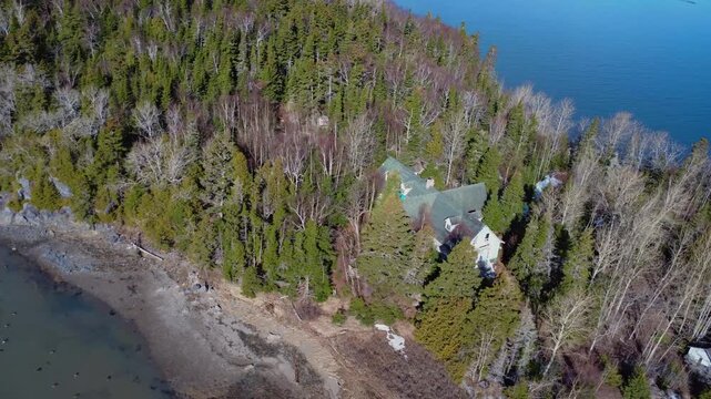 Aerial view of an abandoned coastal house reclaimed by dense forest, with Canada Geese resting along the rocky low‑tide shoreline.
