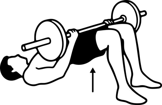 Barbell Hip Thrust Exercise Detailed Vector Icon of Person Performing Glute Strength Training Workout.