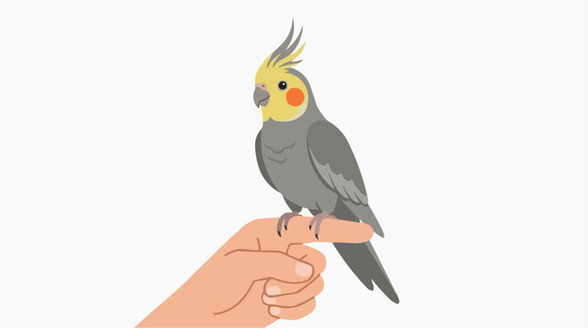 A captivating illustration showcases a charming cockatiel perched gracefully on a hand, highlighting a unique bird.