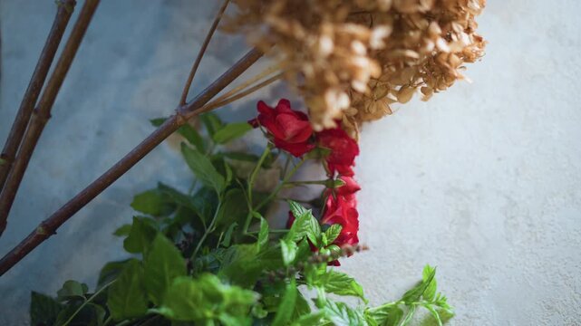 Colorful plants adorn textured wall. Vibrant herb arrangement emphasizes natural and warm ambiance perfectly. Lush plant display features lively greenery and delicate rose buds in cozy environment