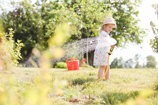 A little cute baby girl 3-4 years old in a dress watering the plants from a watering can in the garden. Kids having fun gardening on a bright sunny day. Outdoor activity children