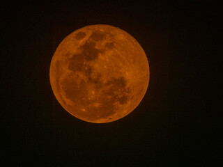 Close-up view of a bright orange full moon glowing against a dark night sky, detailed lunar surface visible, astronomy and celestial nature concept.  © ClaudioArnese