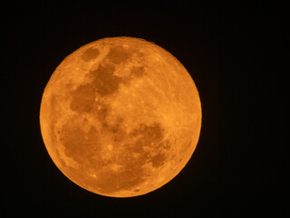 Close-up view of a bright orange full moon glowing against a dark night sky, detailed lunar surface visible, astronomy and celestial nature concept.  © ClaudioArnese