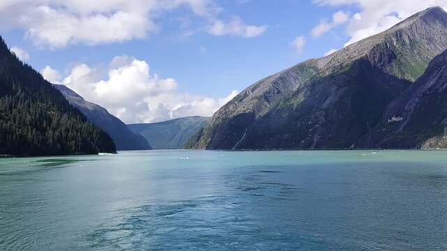 Tracy Arm, USA - View of the Tracy Arm fjord featuring dramatic mountains and calm waters. The mountains are heavily forested. The fjord reflects the blue sky.
