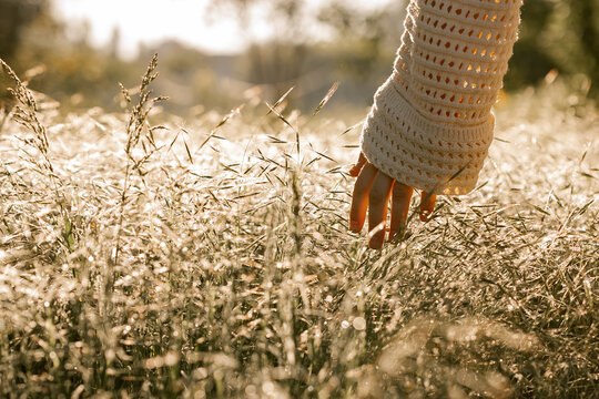 Hand in soft golden grass touching blades gently at sunrise during calm peaceful moment
