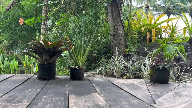 Stone pots placing on a wooden deck with calm serenity tropical garden
