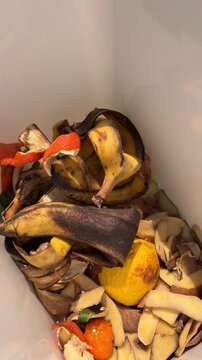 Placing food scraps into a compost bin. Composting organic food waste for producing fertile soil