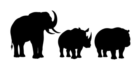 Fototapeta premium Silhouettes of an elephant, rhinoceros, and hippopotamus arranged in a row against a white background.