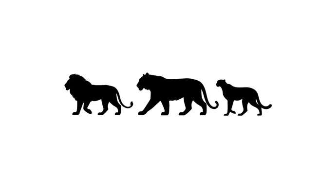 Three majestic lions walk together in silhouette against a white background, representing strength and unity.