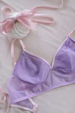 Flat lay with women romantic underwear, top view. Set of glamorous stylish sexy lace lingerie. Beauty, Shopping and fashion concept. Female bra, Lingerie advertising, flat lay top view copy space