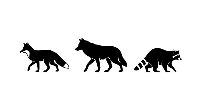Silhouettes of a fox, wolf, and raccoon walking in profile on a white background.