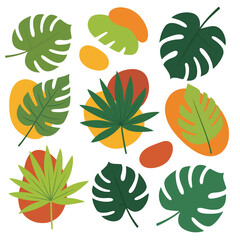 Fototapeta premium Collection of various tropical leaf shapes 1.