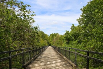 Fototapeta premium Beautiful springtime view of a trestle crossing a stream in a forest along the Tunnel Hill State Trail, near Vienna, Illinois.