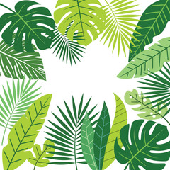 Tropical green leaves on white background. © Egar