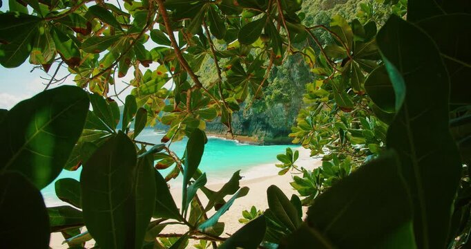 Scenic view of turquoise ocean waves and white sand beach through tree leaves at Nusa Penida Island Bali