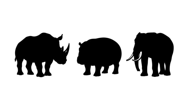 Silhouette of a rhinoceros, hippopotamus, and elephant standing together