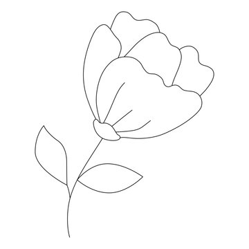 Floral Branch Coloring Page SVG, Botanical Flower Line Art for Cutting machine	