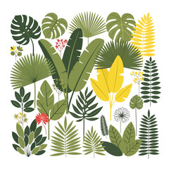 Collection of various tropical green leaves 1. © Egar