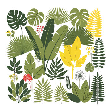 Collection of various tropical green leaves 1.