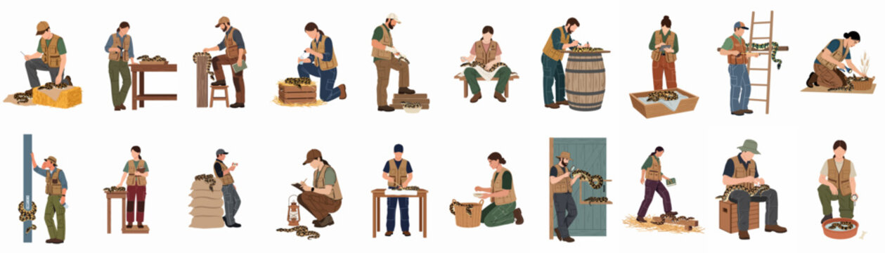 A collection of illustrations featuring herpetologists and animal rescuers interacting with snakes in various research and rescue scenarios on a white background.