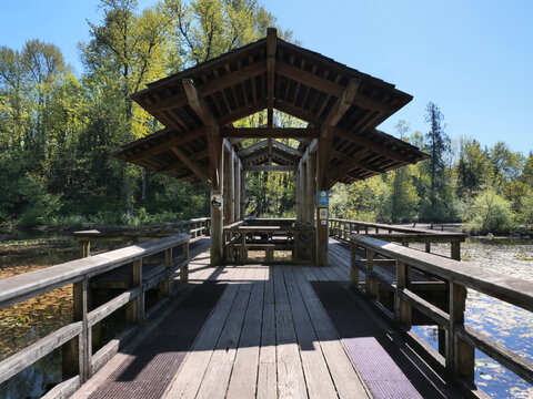 Fishtrap Creek Park during a spring season in Abbotsford, British Columbia, Canada