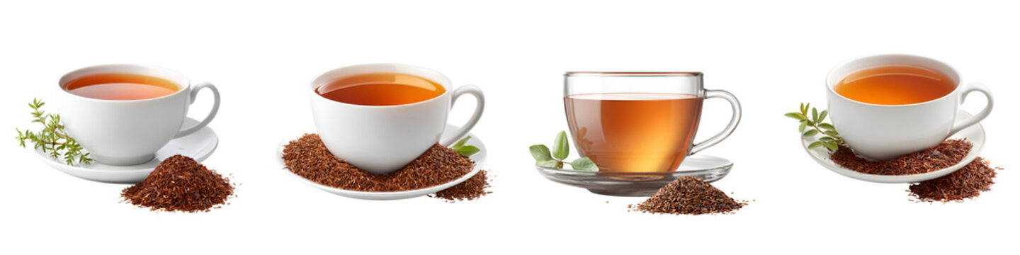 Rooibos Tea Illustration Set: Herbal Beverage Collection