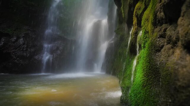 Waterfall cascading into a pool within a mossy rock canyon